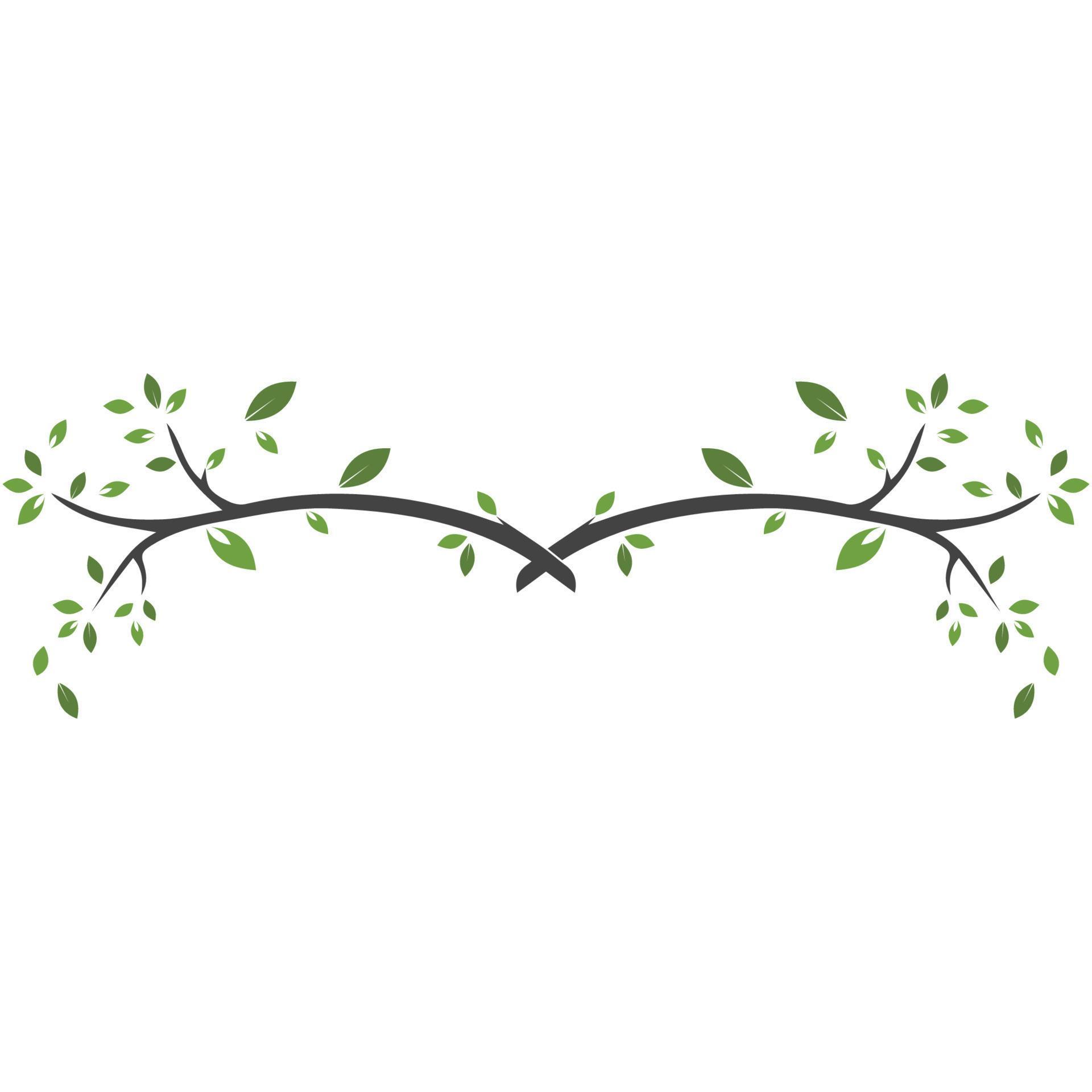 Vector branch , Hand drawn illustration of tree branch design template