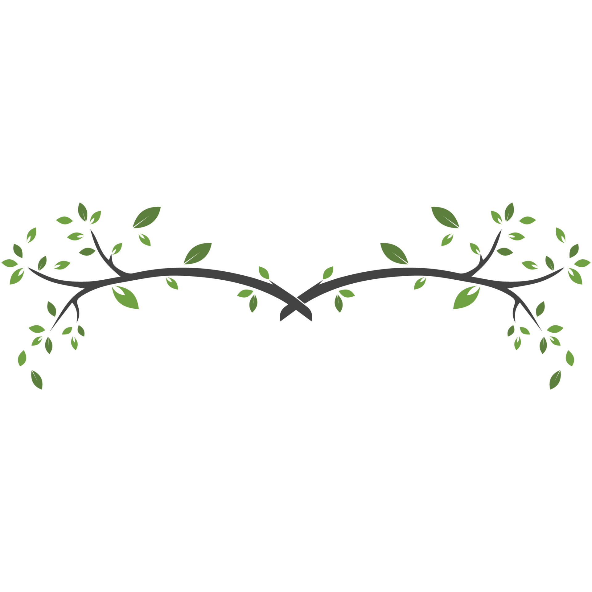 Vector branch , Hand drawn illustration of tree branch design template