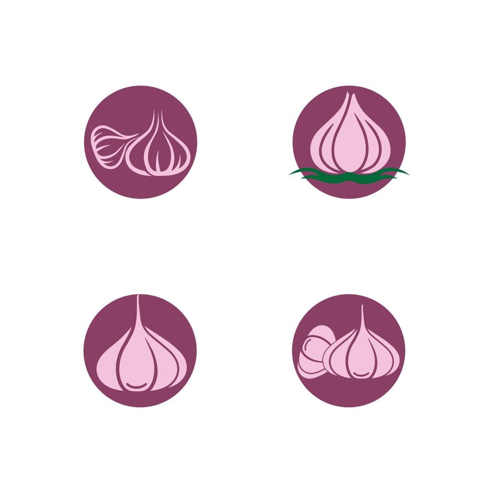 Garlic vector icon illustration design template