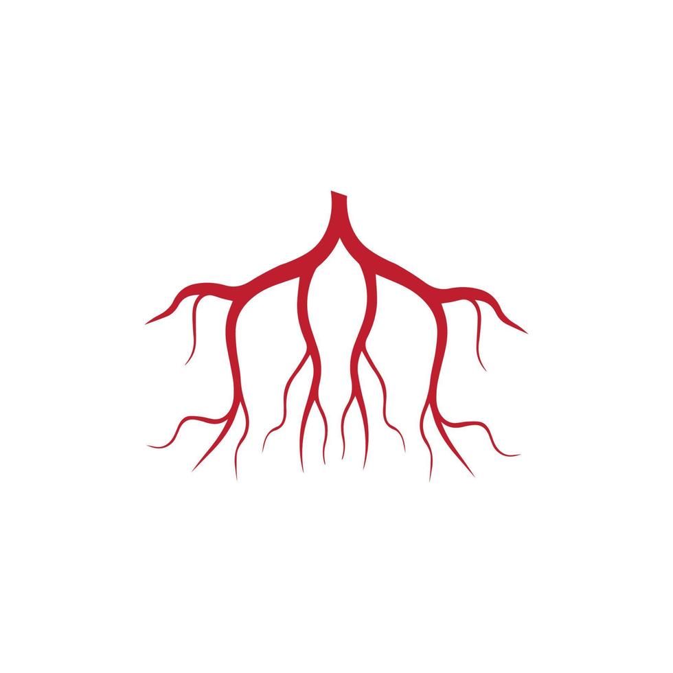 human veins, red blood vessels design and arteries Vector illustration isolated