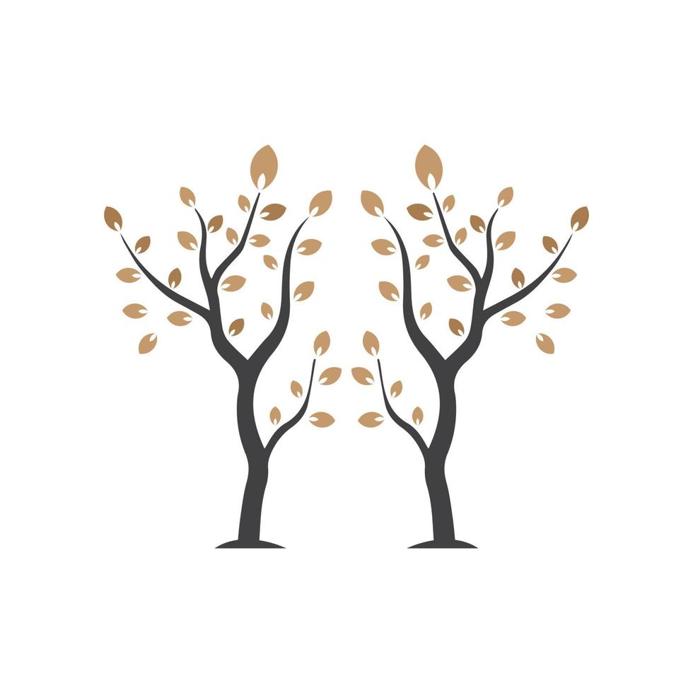 Vector branch , Hand drawn illustration of tree branch design template