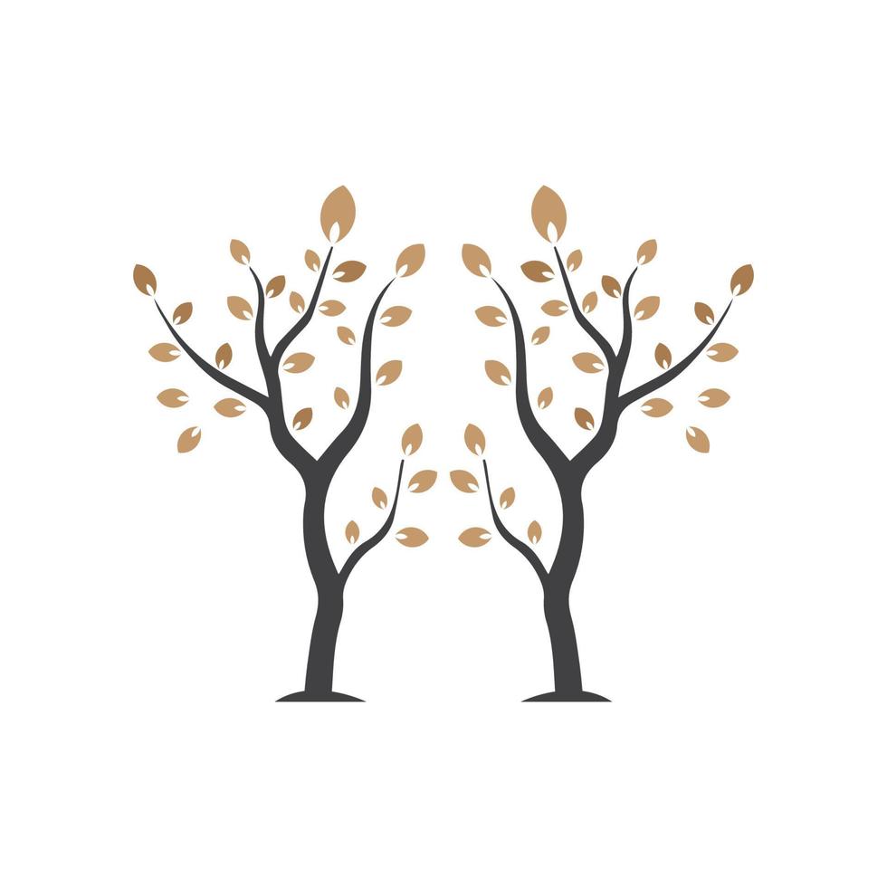 Vector branch , Hand drawn illustration of tree branch design template