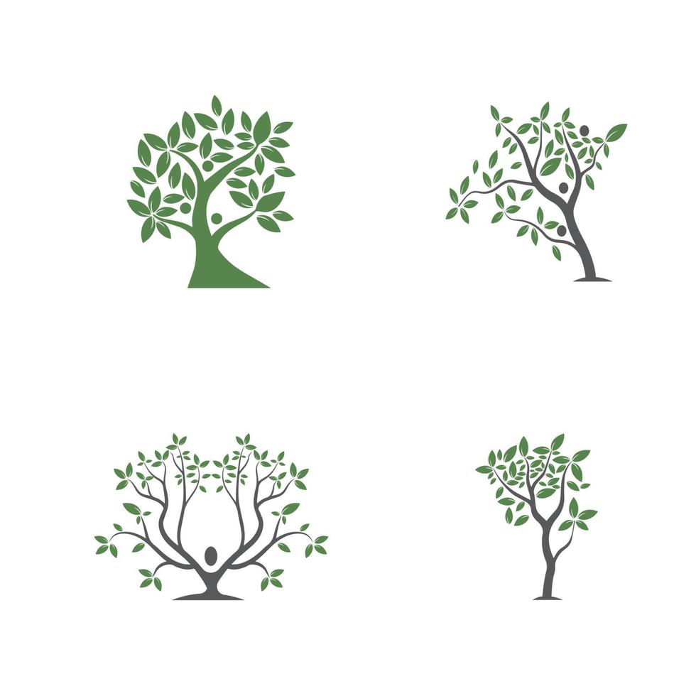 vector de árbol, dibujado a mano, ilustración de la plantilla de diseño de vector de olivo