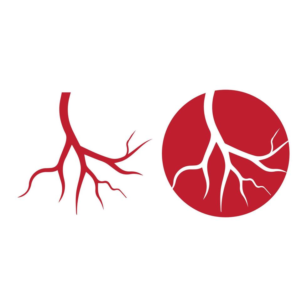 venas humanas, diseño de vasos sanguíneos rojos e ilustraciones vectoriales de arterias aisladas vector