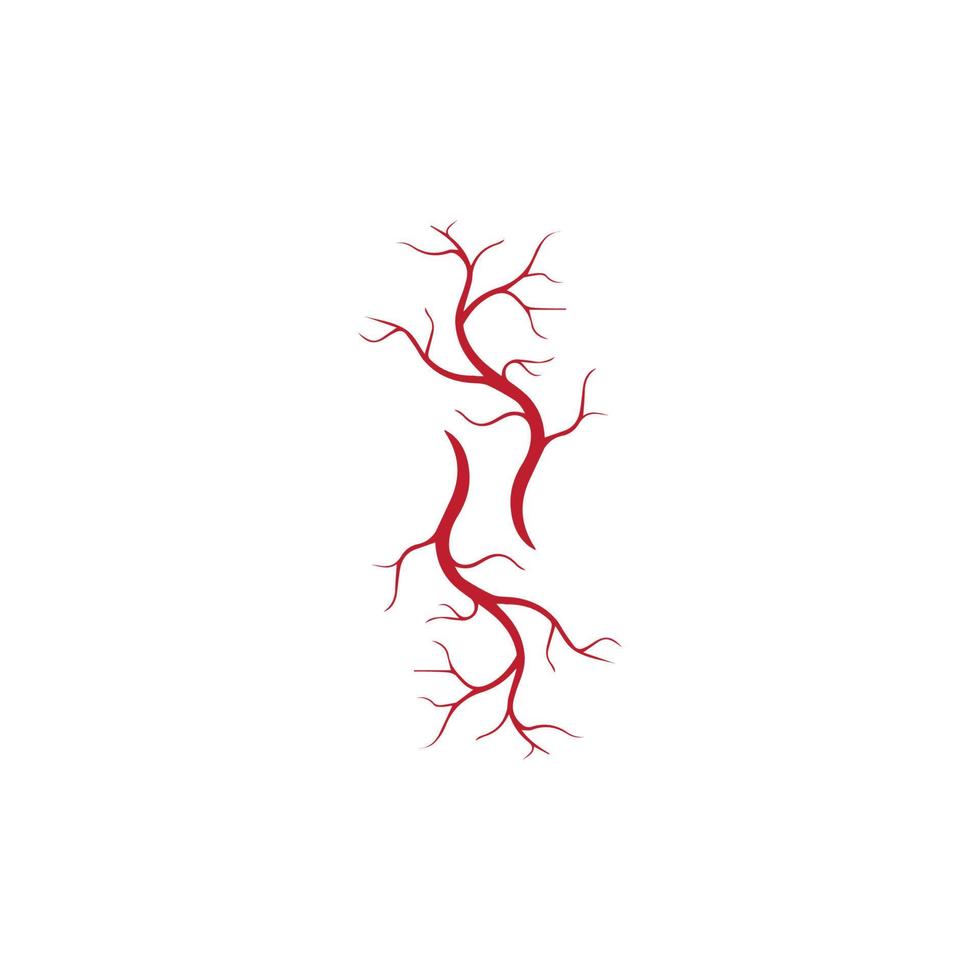human veins, red blood vessels design and arteries Vector illustration isolated