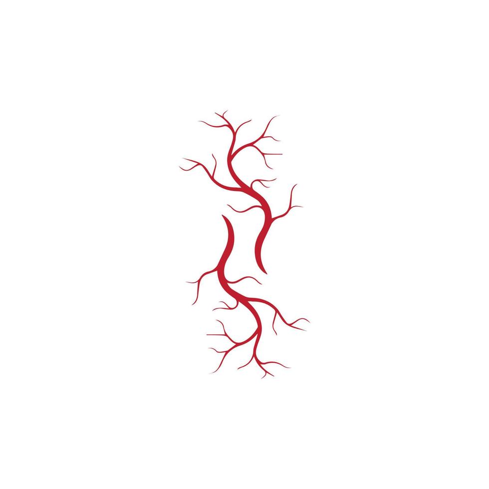 venas humanas, diseño de vasos sanguíneos rojos e ilustraciones vectoriales de arterias aisladas vector