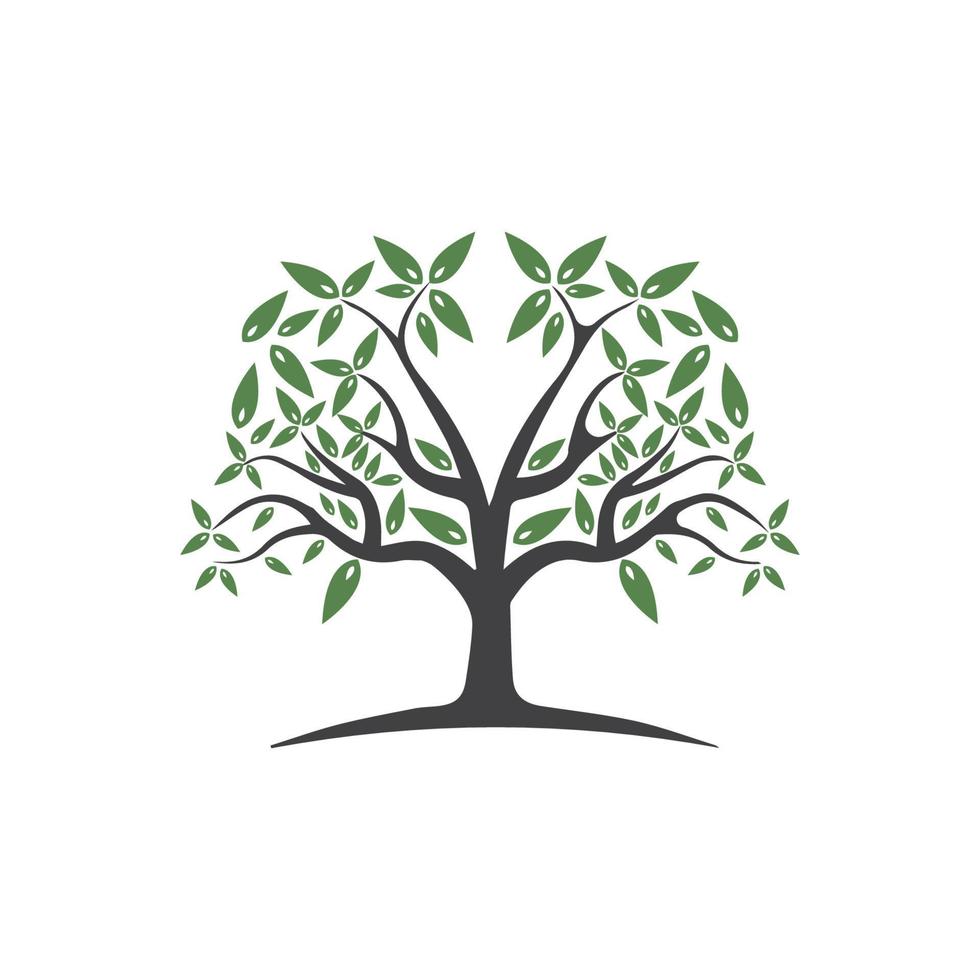 Tree Vector ,hand drawn,  illustration of  Olive tree vector design template