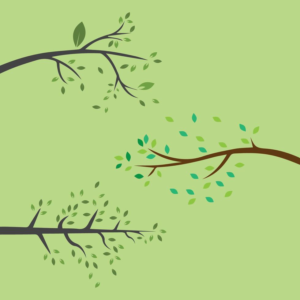 Vector branch , Hand drawn illustration of tree branch design template