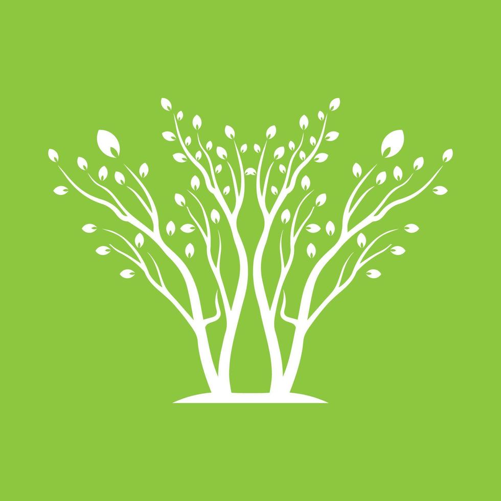 Vector branch , Hand drawn illustration of tree branch design template