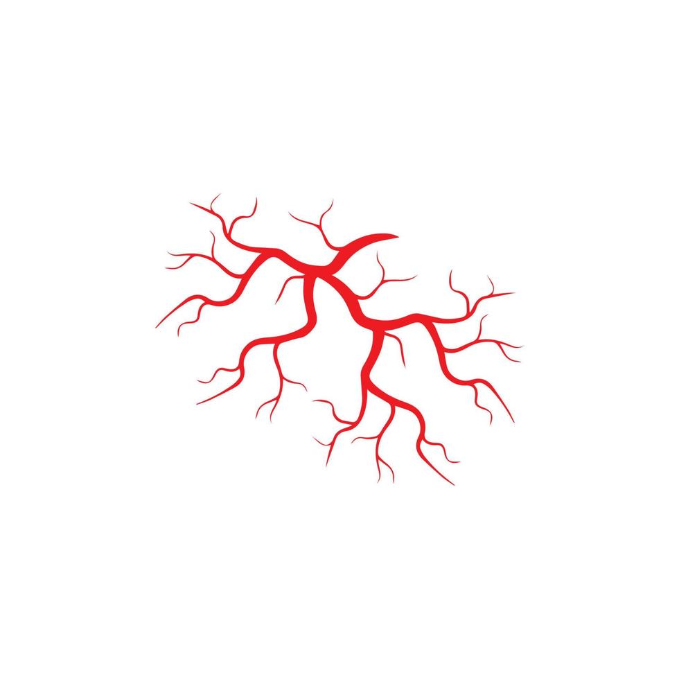 human veins, red blood vessels design and arteries Vector illustration isolated