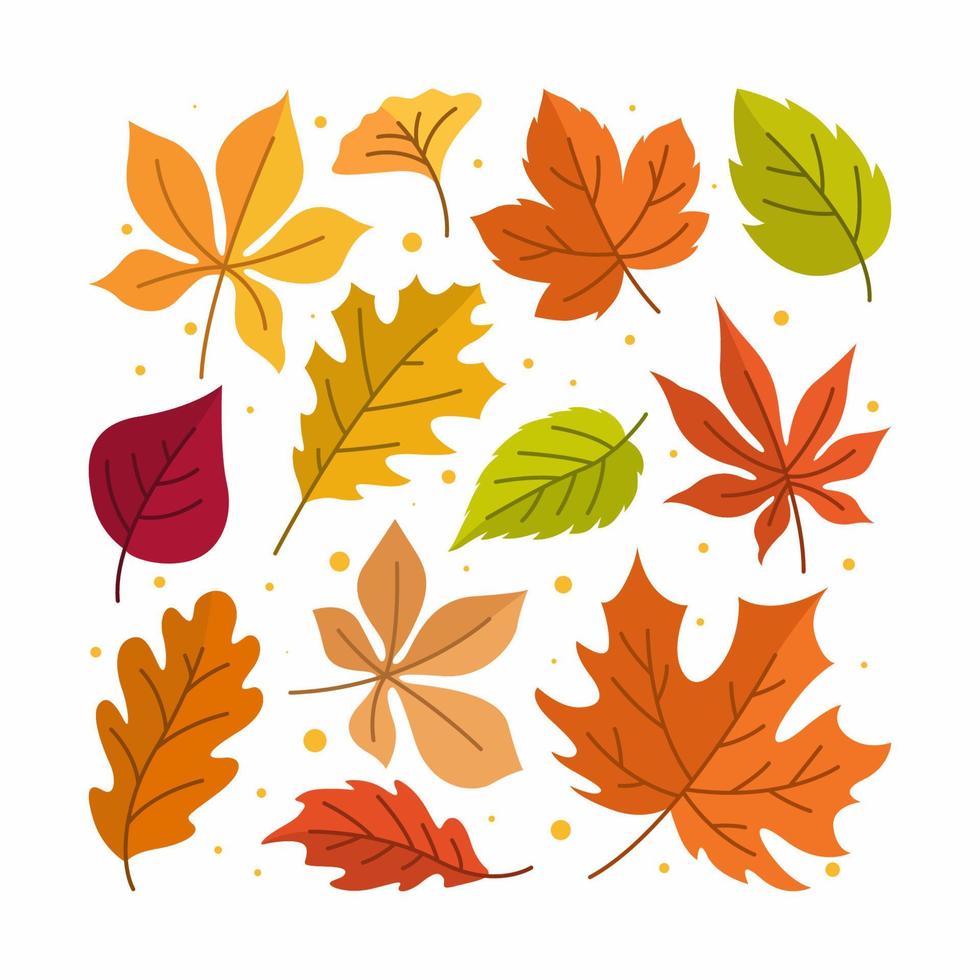Fall Autumn Leaves Icon Creative Layout 8865973 Vector Art at Vecteezy