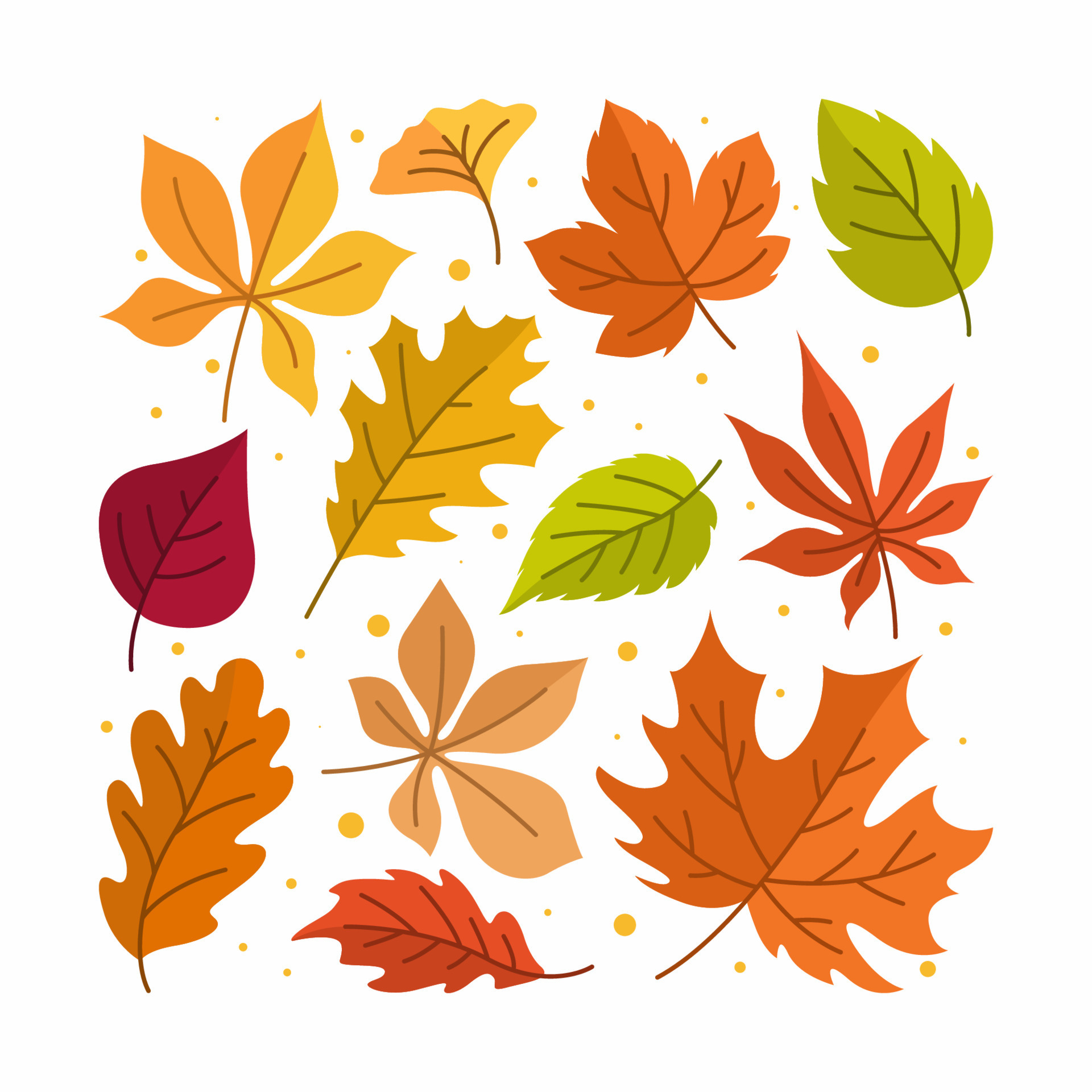 Fall Autumn Leaves Icon Creative Layout 8865973 Vector Art at Vecteezy