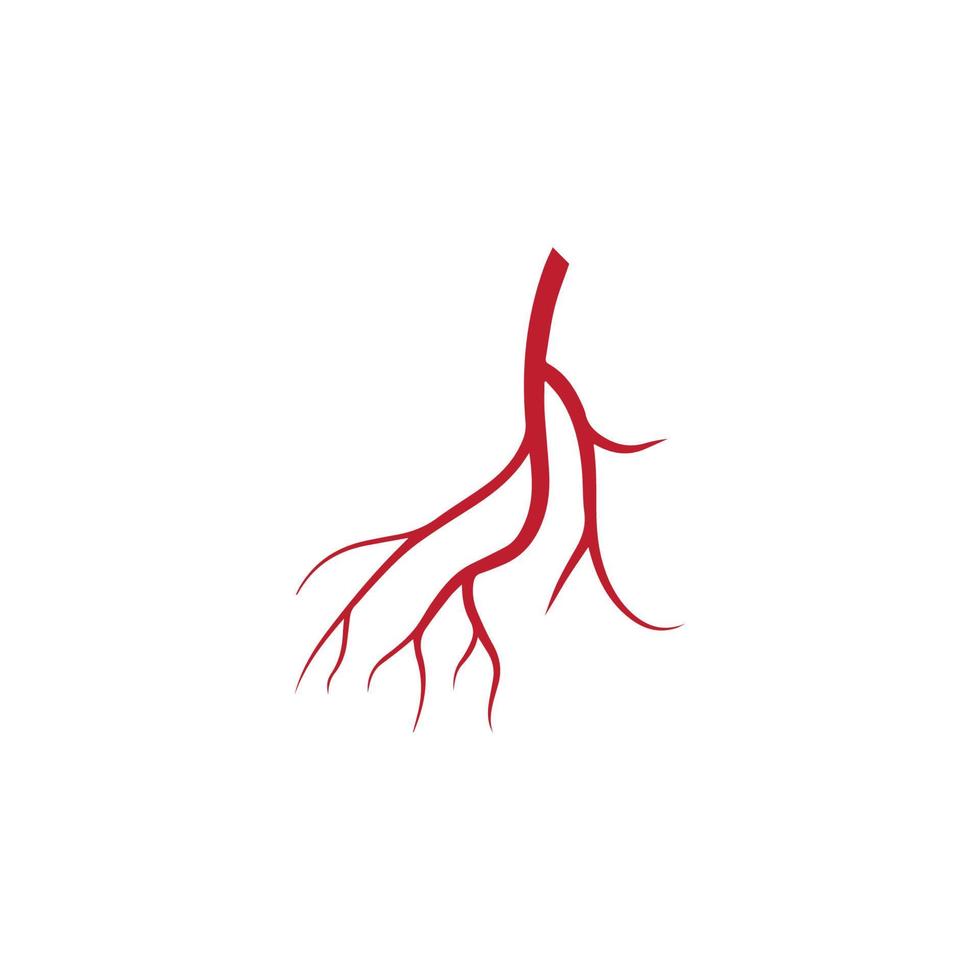 venas humanas, diseño de vasos sanguíneos rojos e ilustraciones vectoriales de arterias aisladas vector