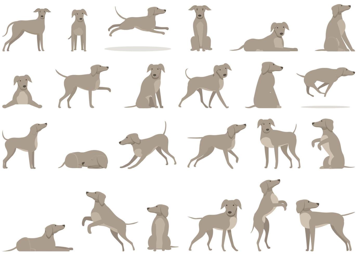 Greyhound icons set cartoon vector. Animal breed vector