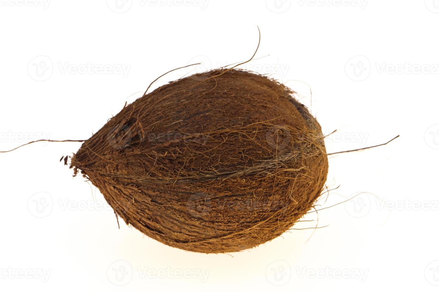 Coconut isolated on white background photo