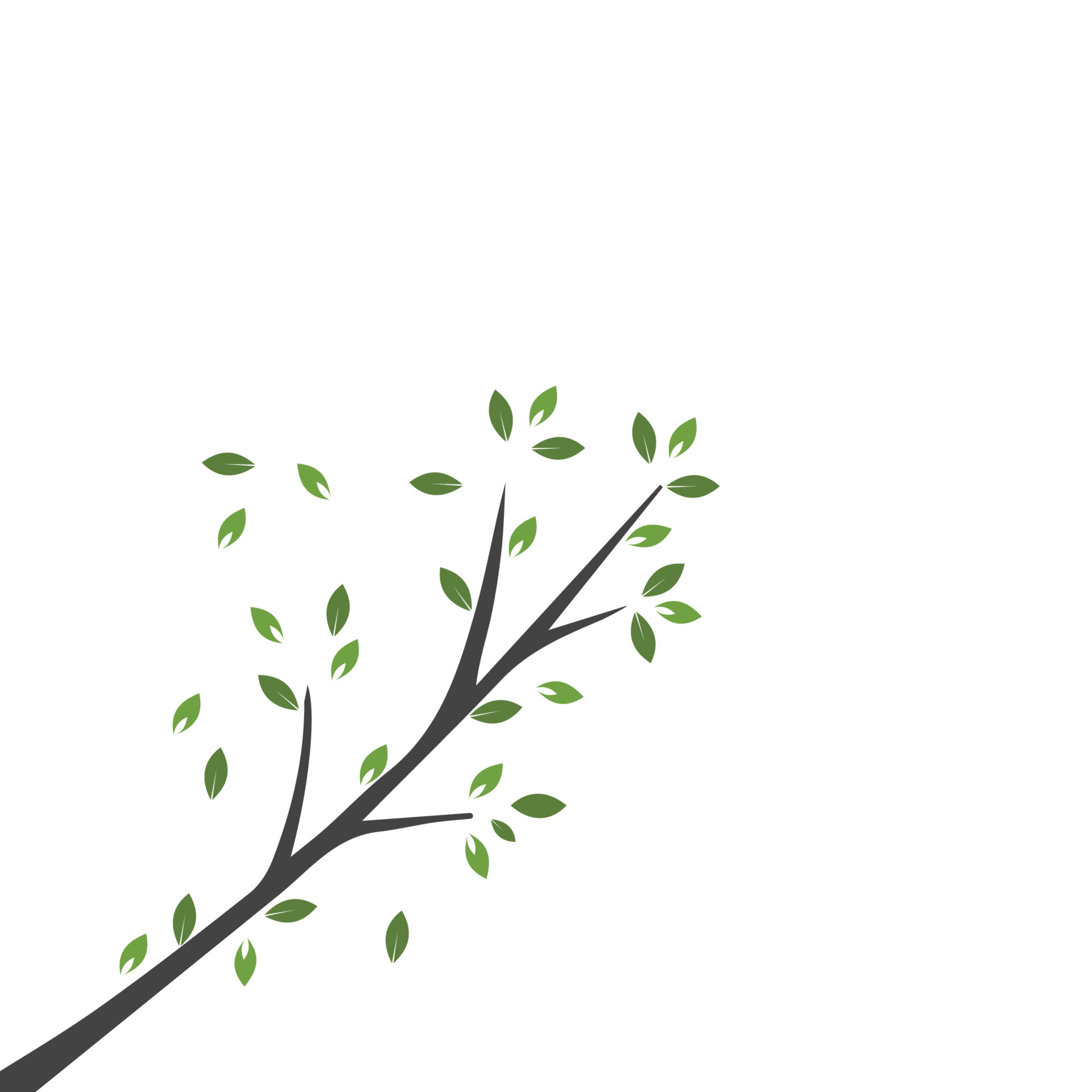 Vector branch , Hand drawn illustration of tree branch design template