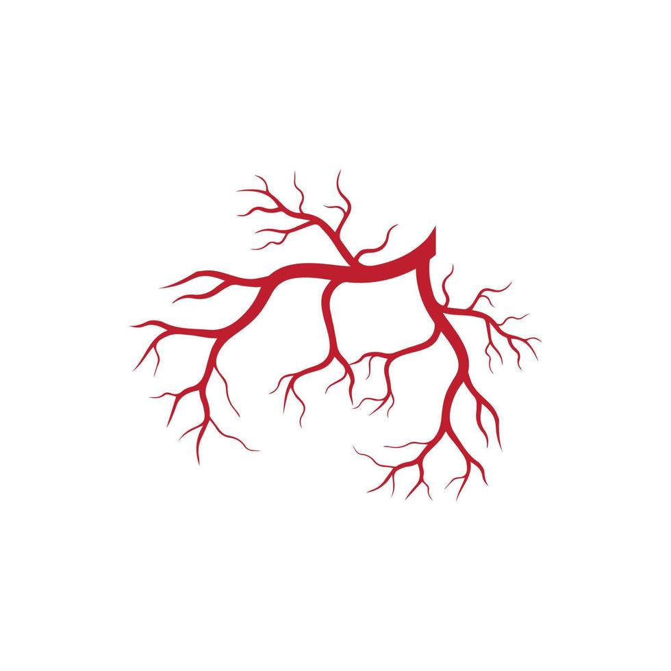 venas humanas, diseño de vasos sanguíneos rojos e ilustraciones vectoriales de arterias aisladas vector