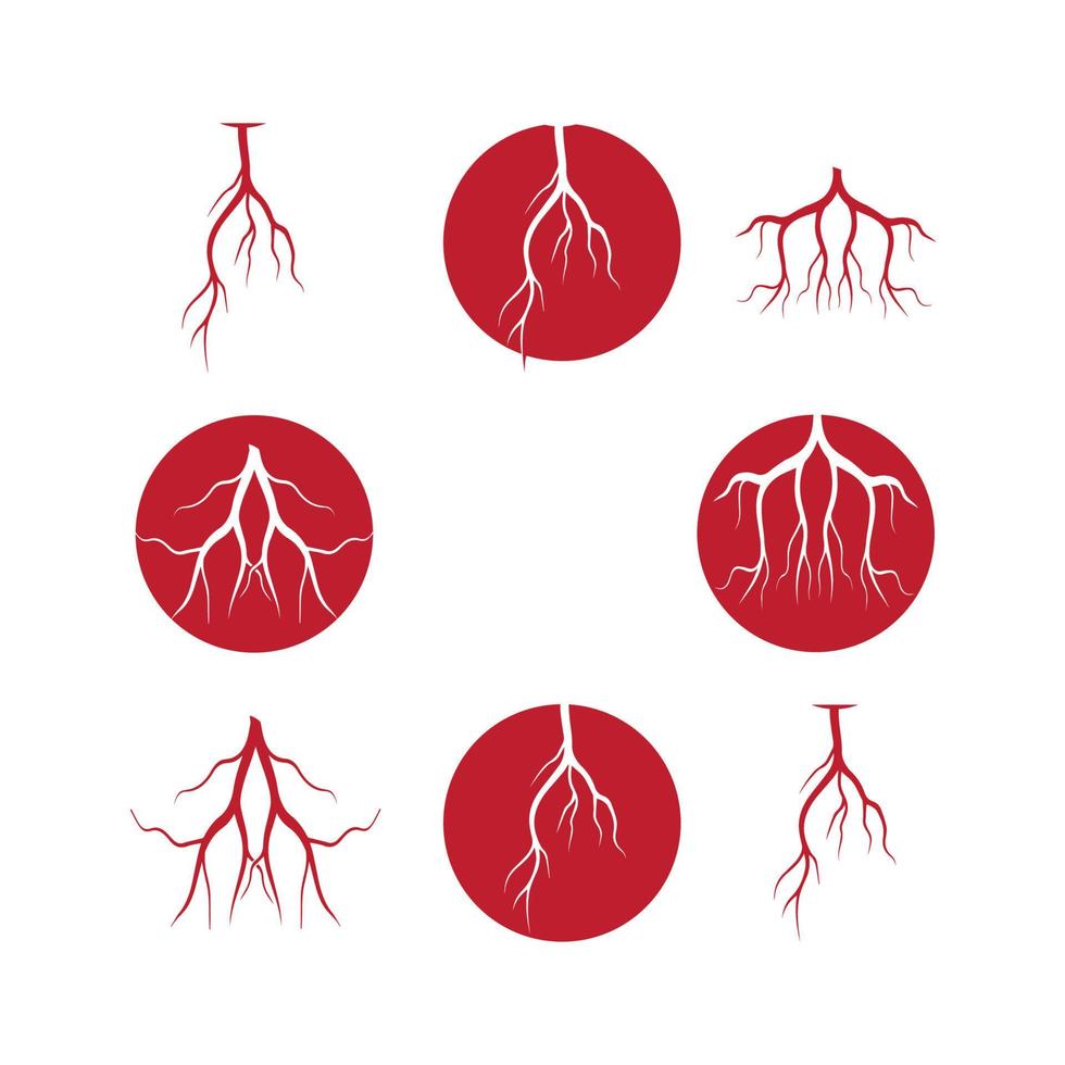 venas humanas, diseño de vasos sanguíneos rojos e ilustraciones vectoriales de arterias aisladas vector