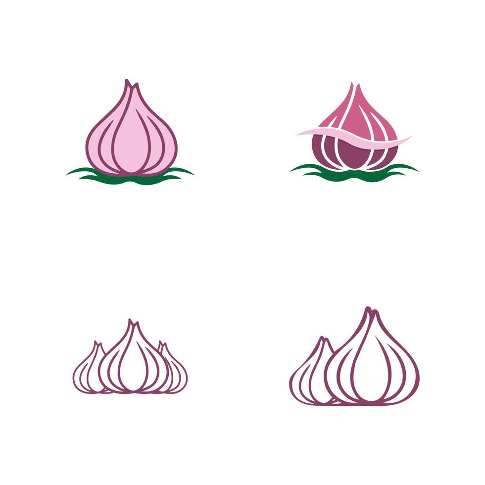 Garlic vector icon illustration design template