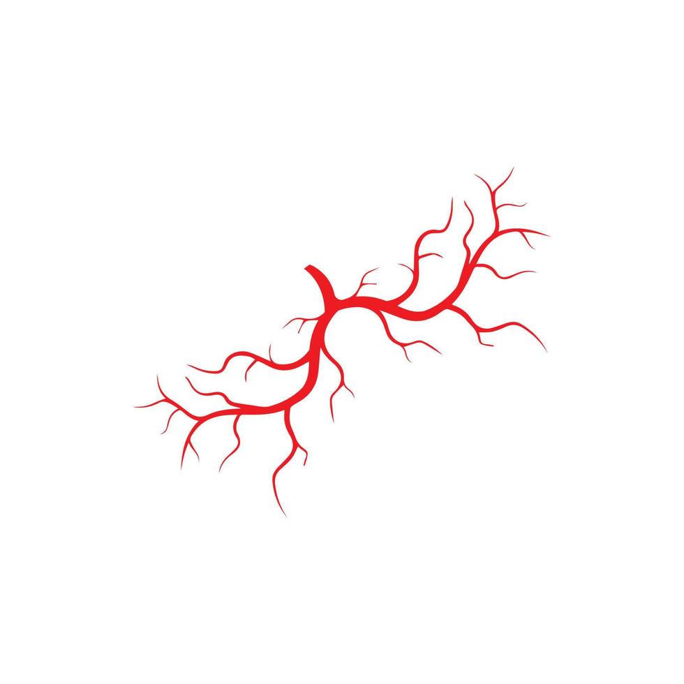 venas humanas, diseño de vasos sanguíneos rojos e ilustraciones vectoriales de arterias aisladas vector