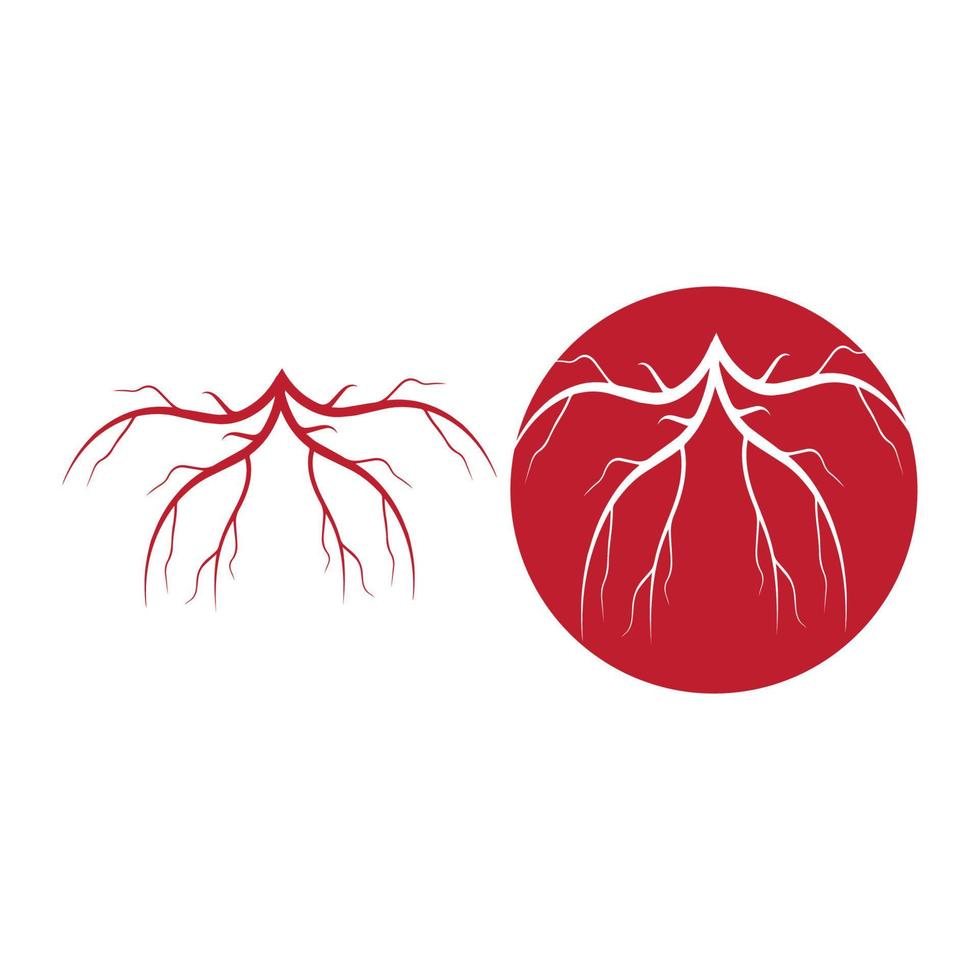 venas humanas, diseño de vasos sanguíneos rojos e ilustraciones vectoriales de arterias aisladas vector