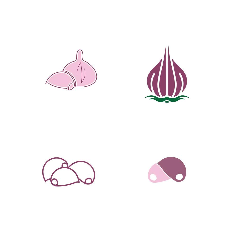 plantilla de diseño de ilustración de icono de vector de ajo