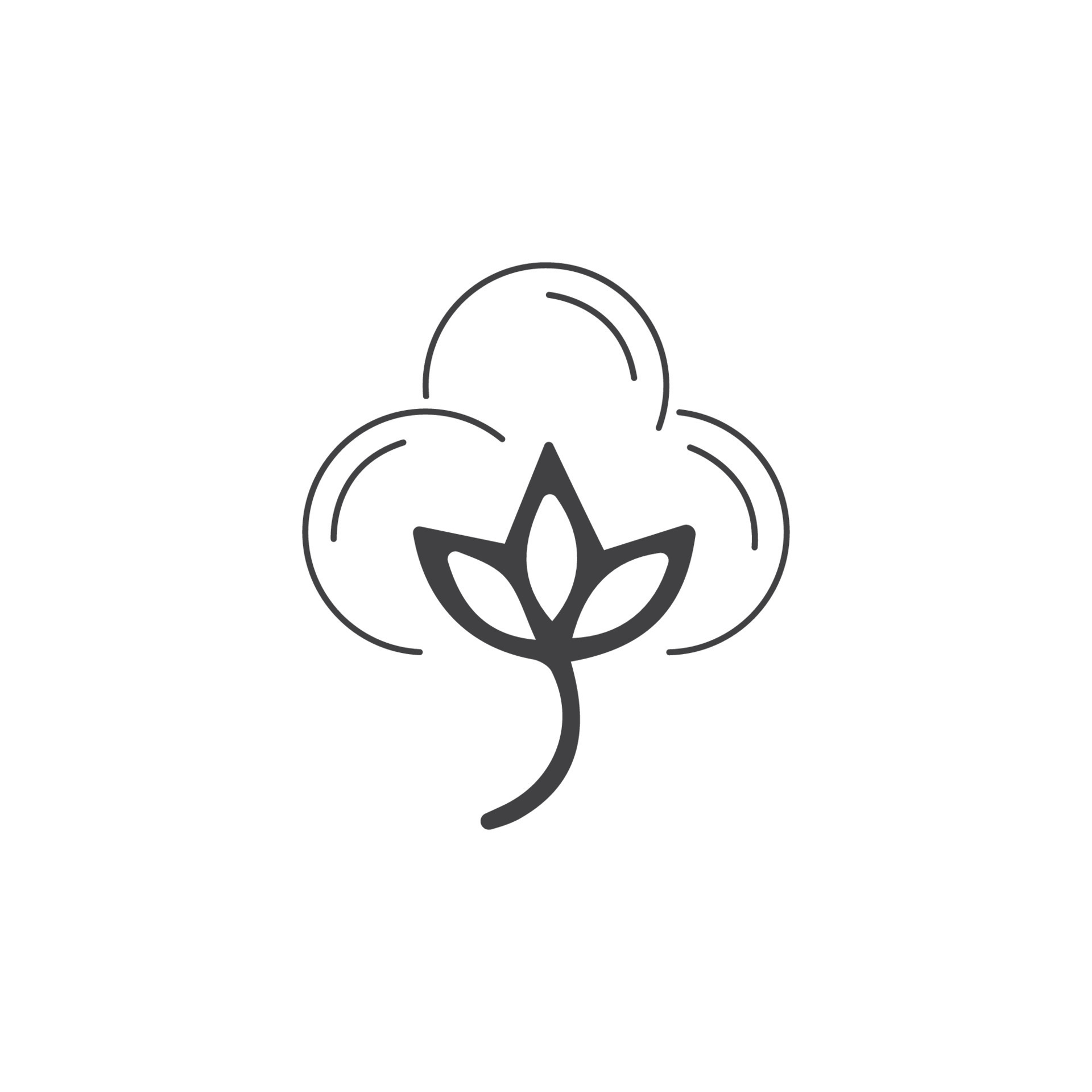 Beauty Cotton flower vector , Simple icon Cotton flower template symbol ...