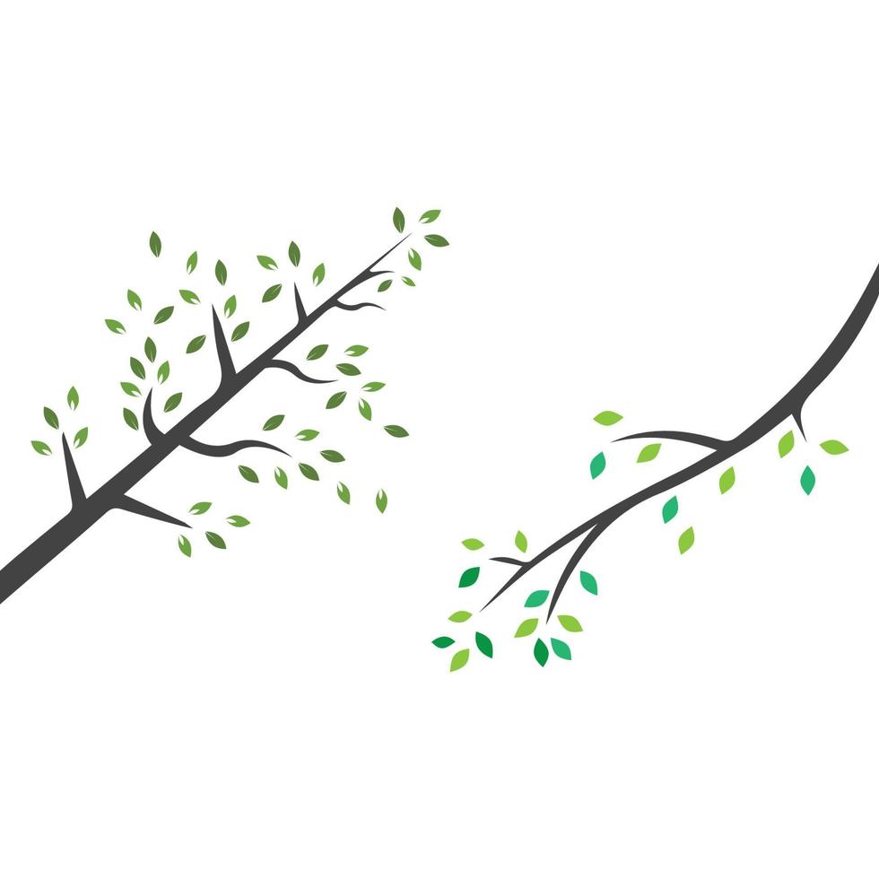 rama vectorial, ilustración dibujada a mano de la plantilla de diseño de rama de árbol vector