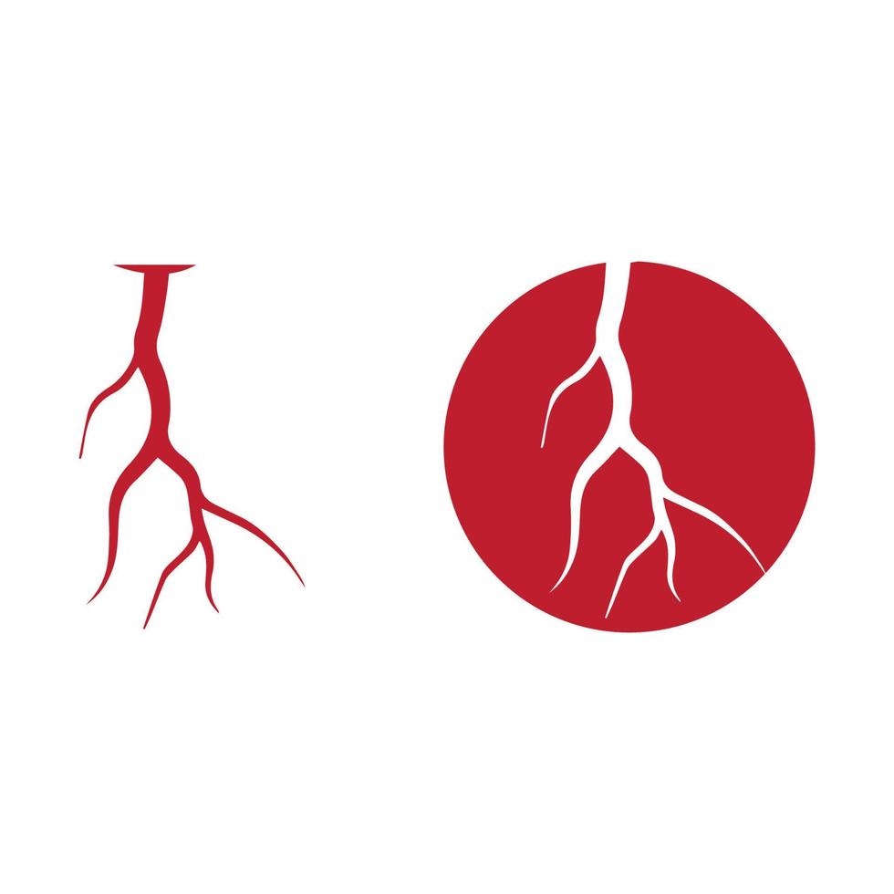 venas humanas, diseño de vasos sanguíneos rojos e ilustraciones vectoriales de arterias aisladas vector