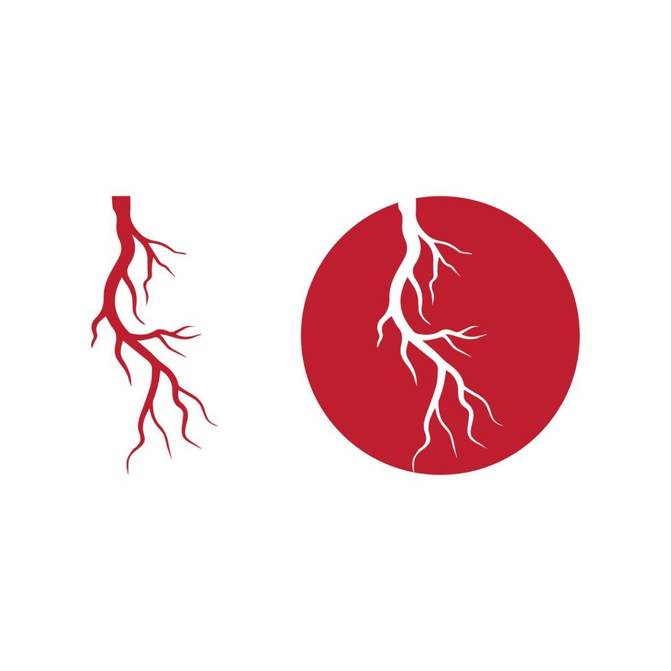 human veins, red blood vessels design and arteries Vector illustration isolated