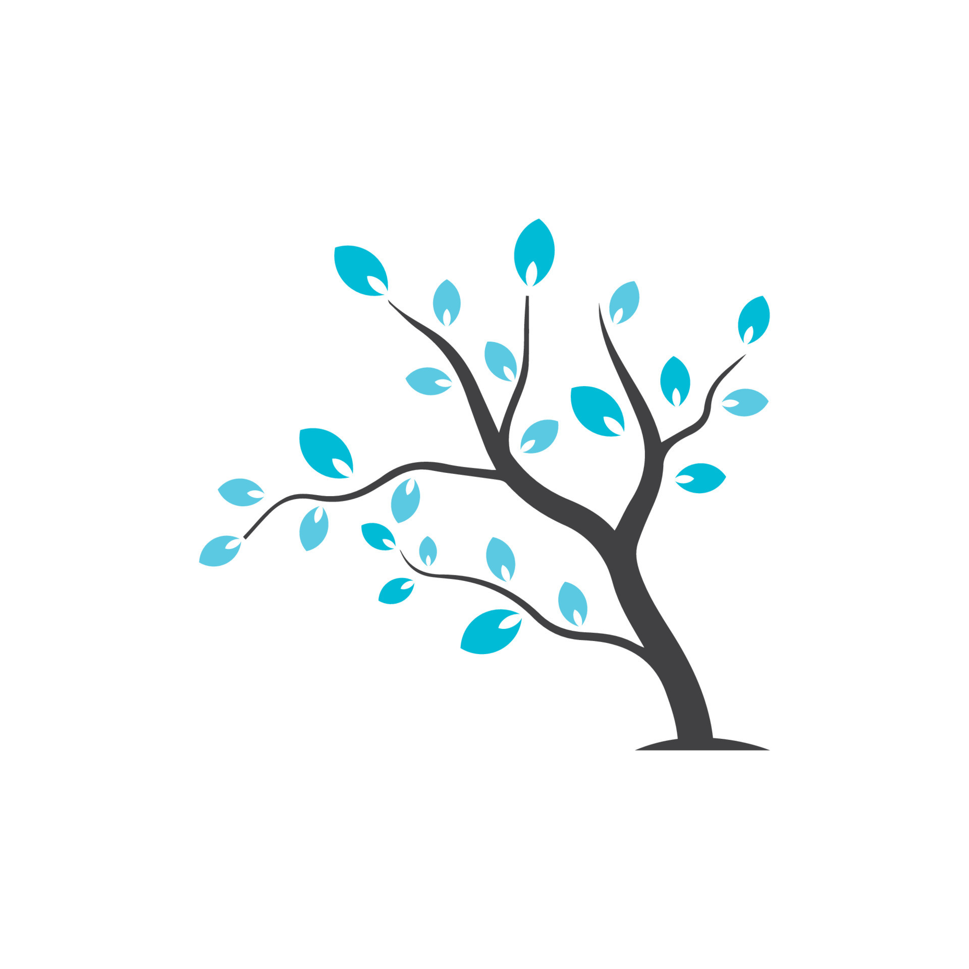 Vector branch , Hand drawn illustration of tree branch design template
