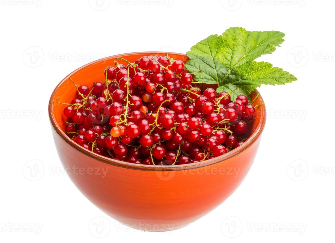 Red currant isolated on white background photo