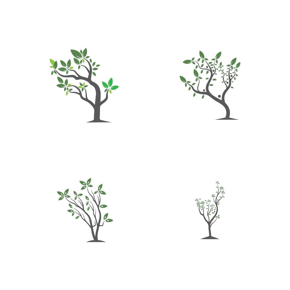 vector de árbol, dibujado a mano, ilustración de la plantilla de diseño de vector de olivo