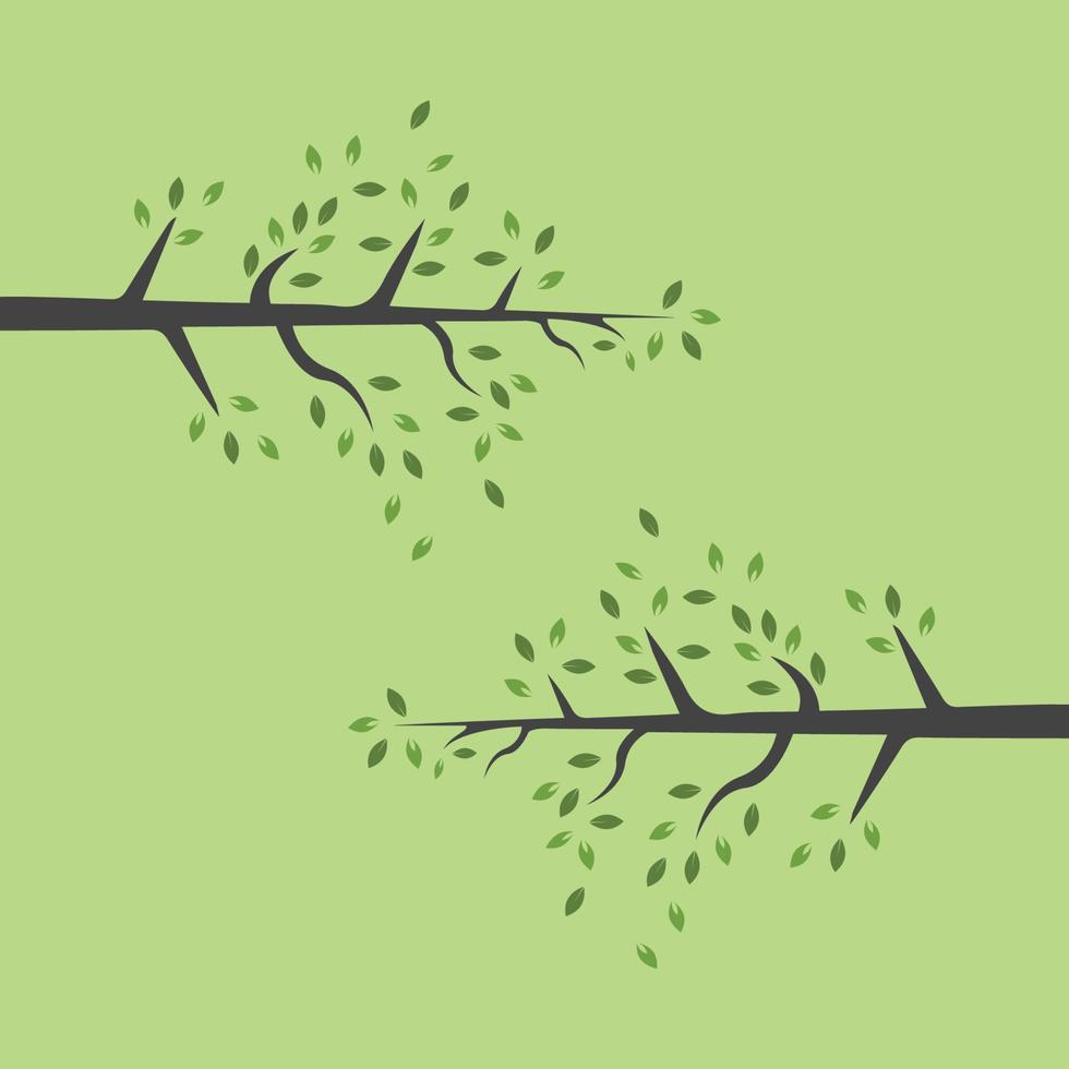 Vector branch , Hand drawn illustration of tree branch design template