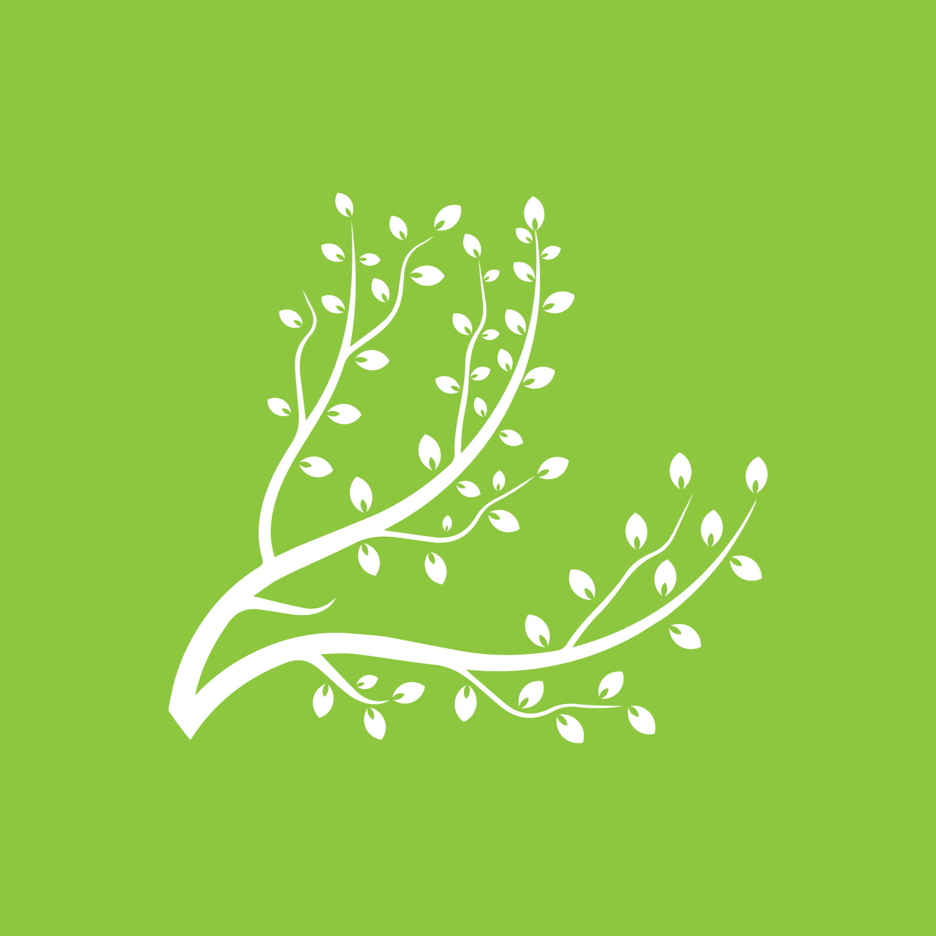 Vector branch , Hand drawn illustration of tree branch design template 8869206 Vector Art at