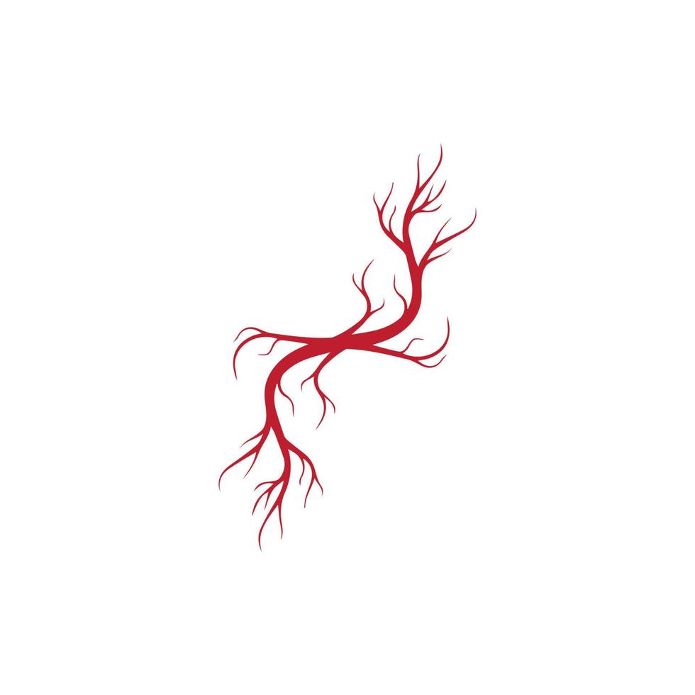 venas humanas, diseño de vasos sanguíneos rojos e ilustraciones vectoriales de arterias aisladas vector