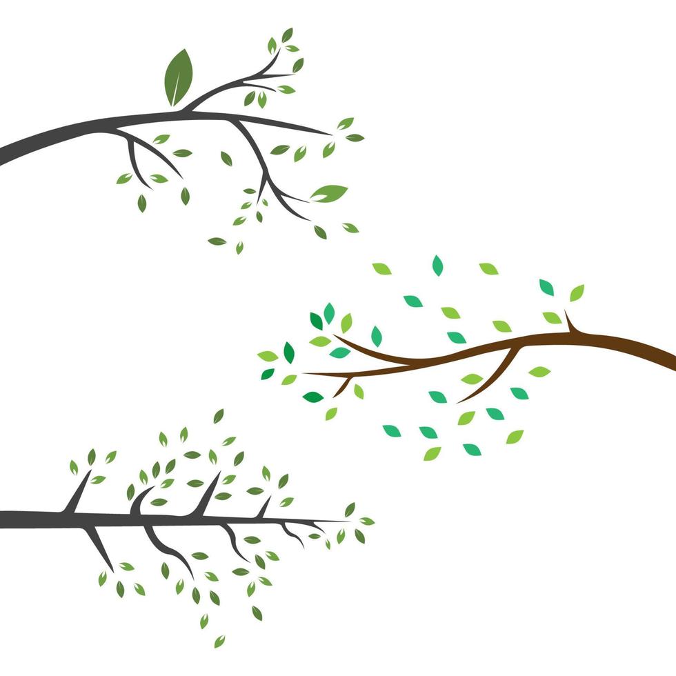 Vector branch , Hand drawn illustration of tree branch design template