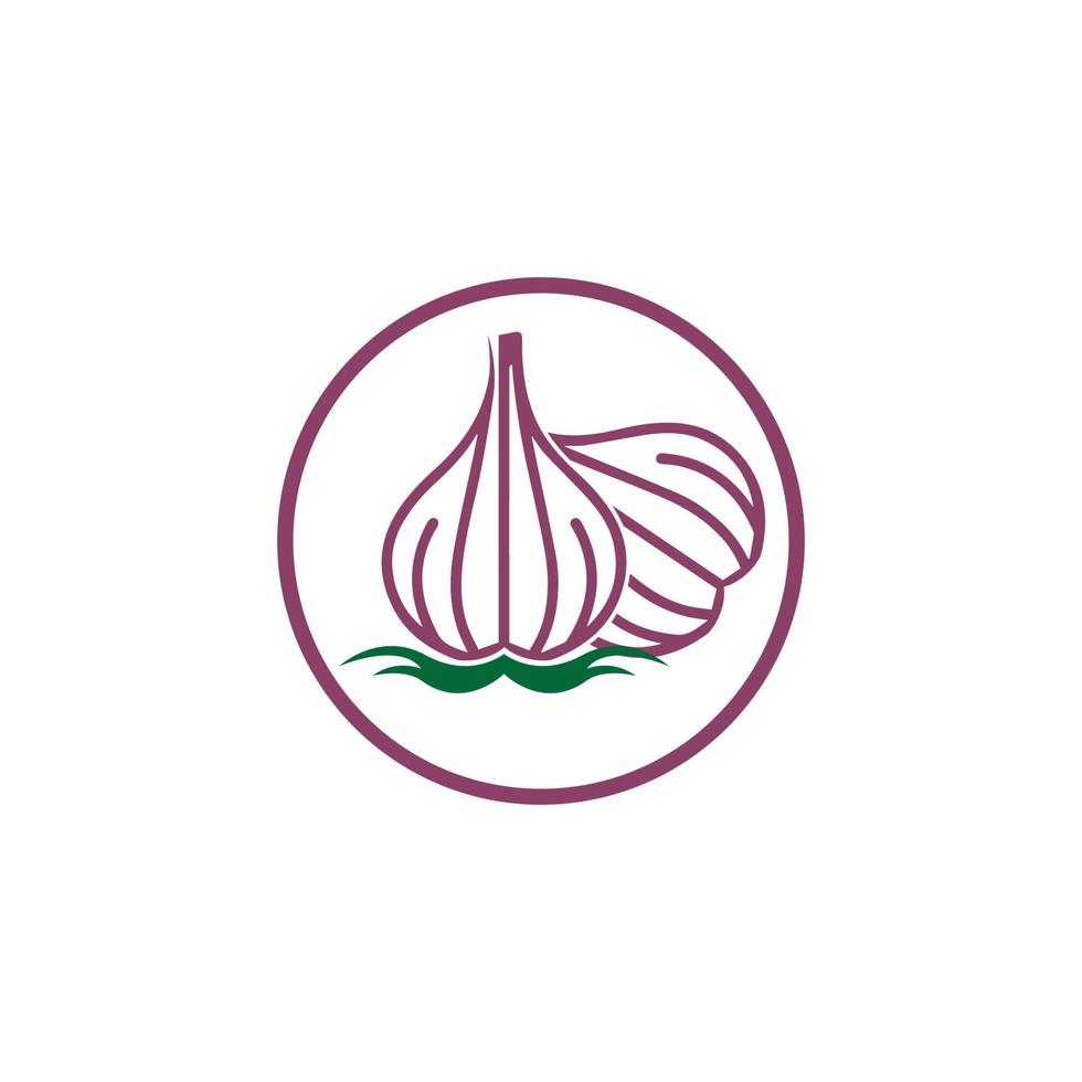 Garlic vector icon illustration design template