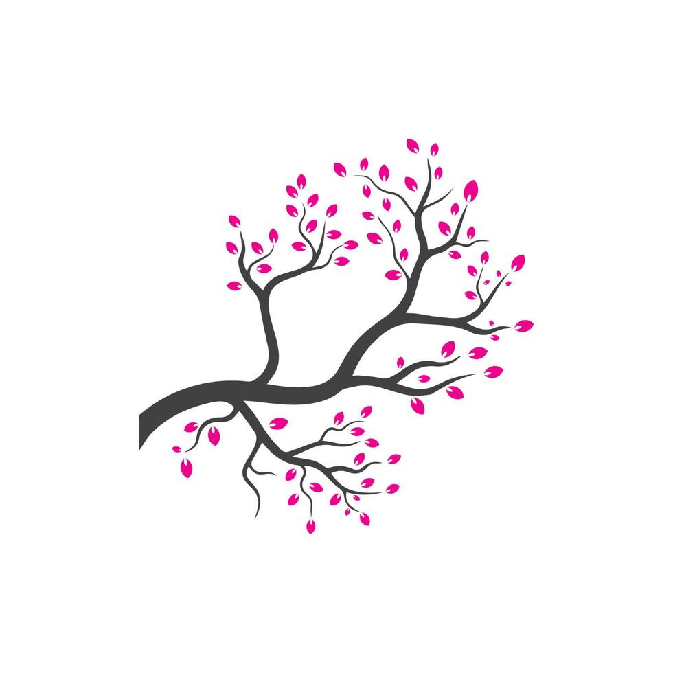 Vector branch , Hand drawn illustration of tree branch design template