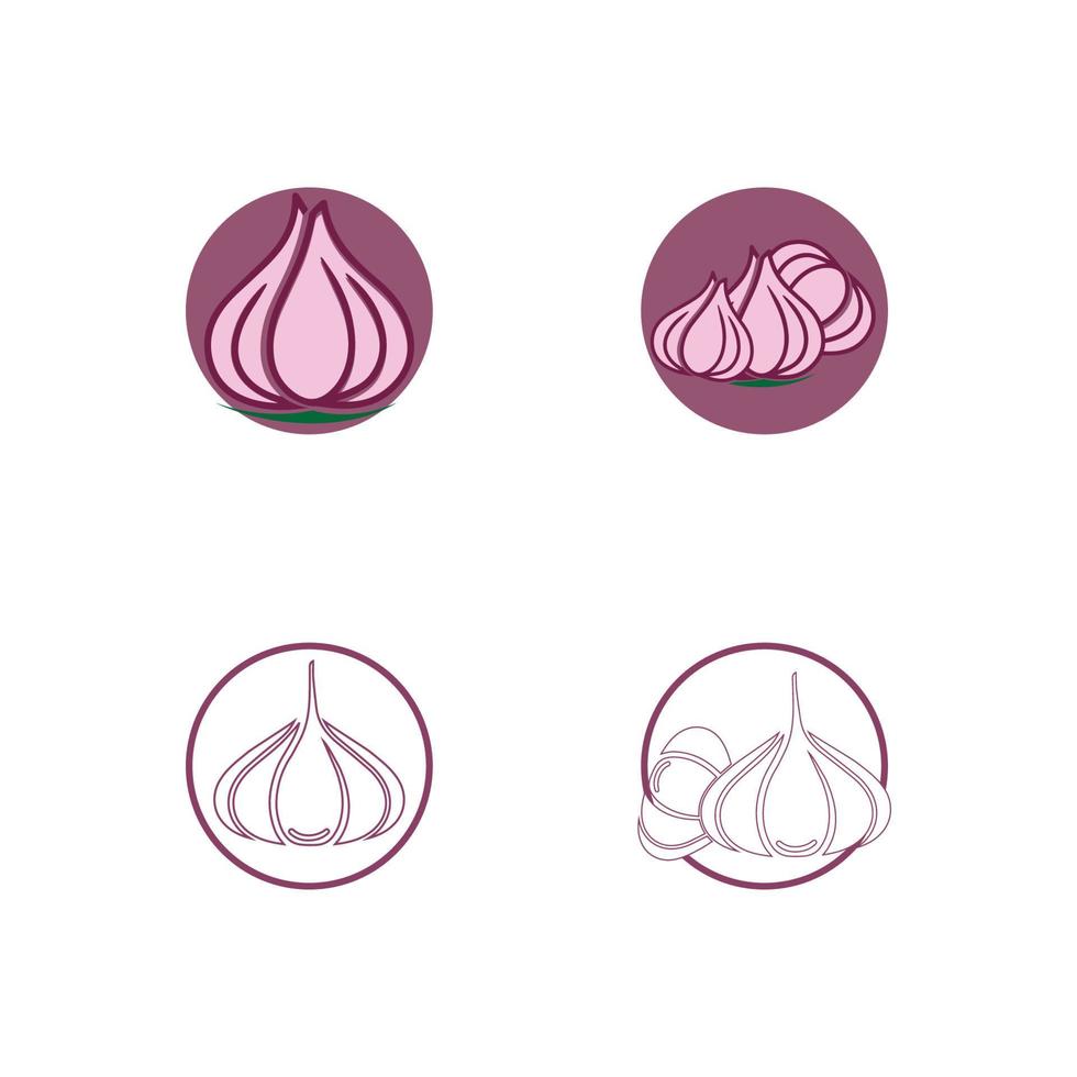 Garlic vector icon illustration design template