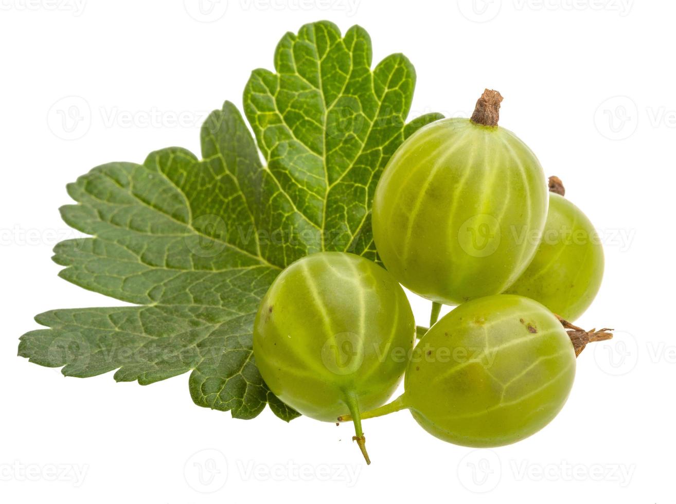 Gooseberries isolated on white background photo