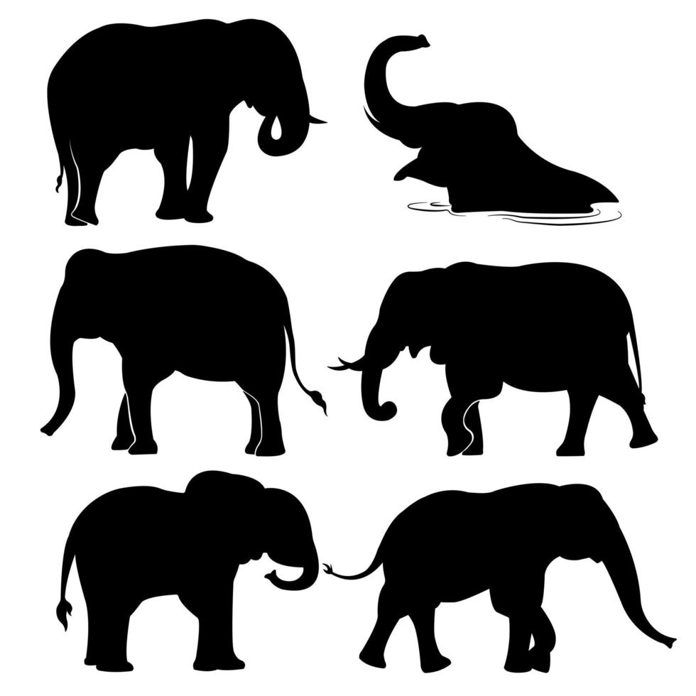 un conjunto de siluetas vectoriales de elefantes aisladas en un fondo blanco. vector