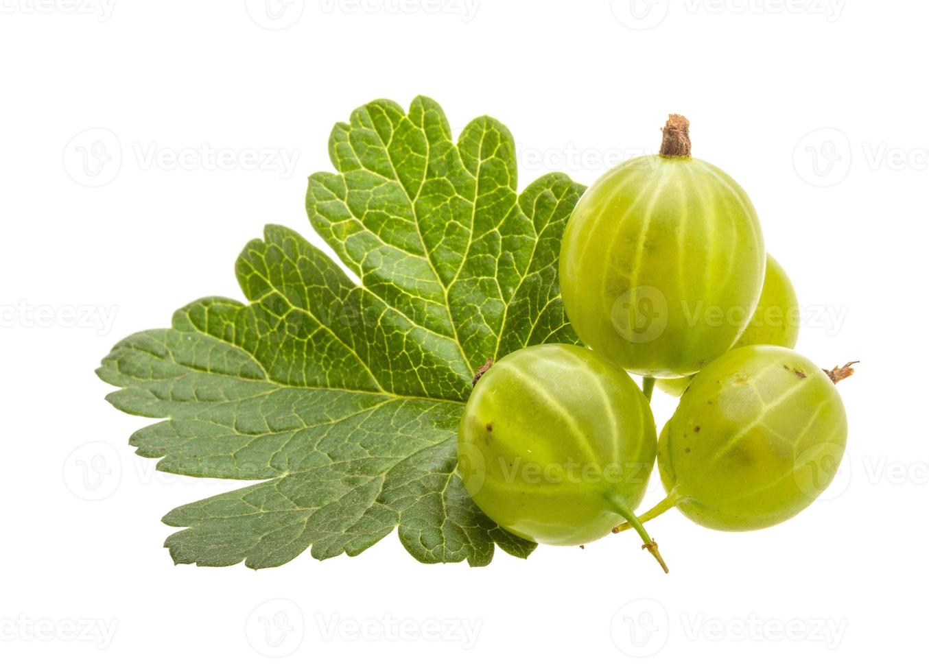 Gooseberries isolated on white background photo