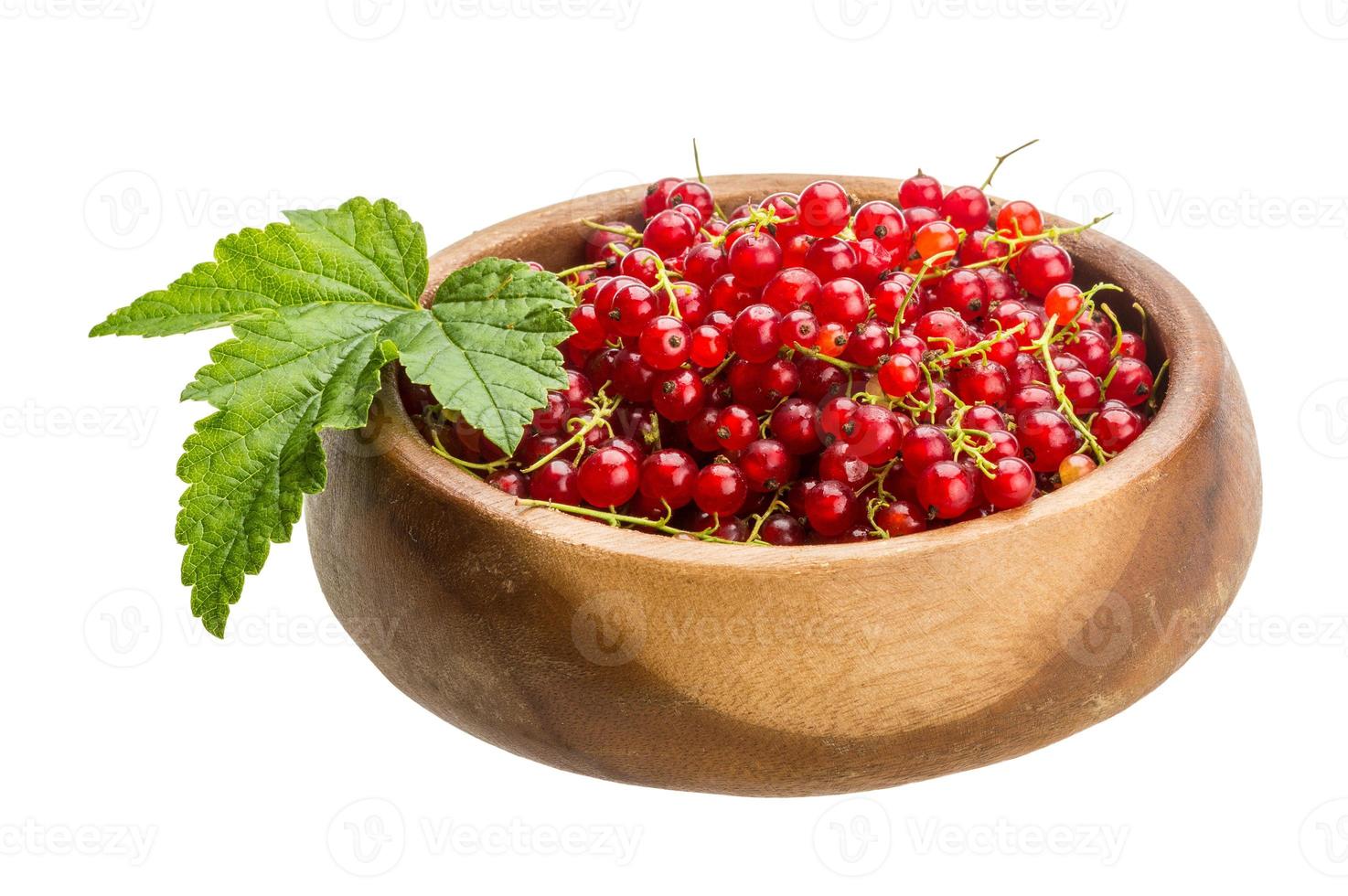 Red currant isolated on white background photo