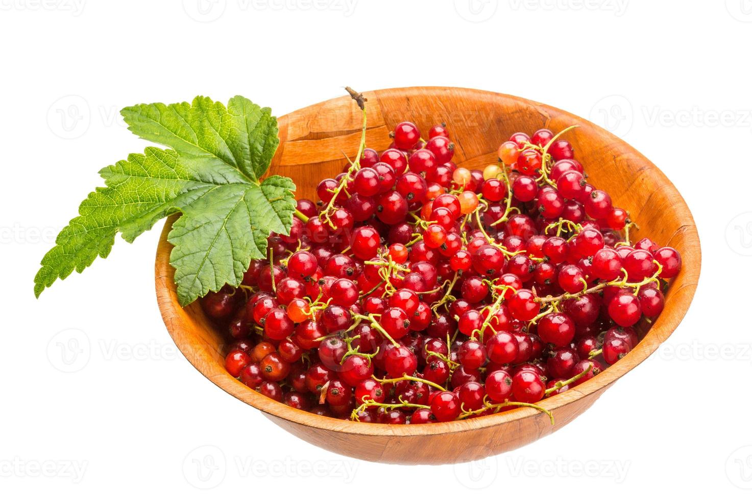 Red currant isolated on white background photo