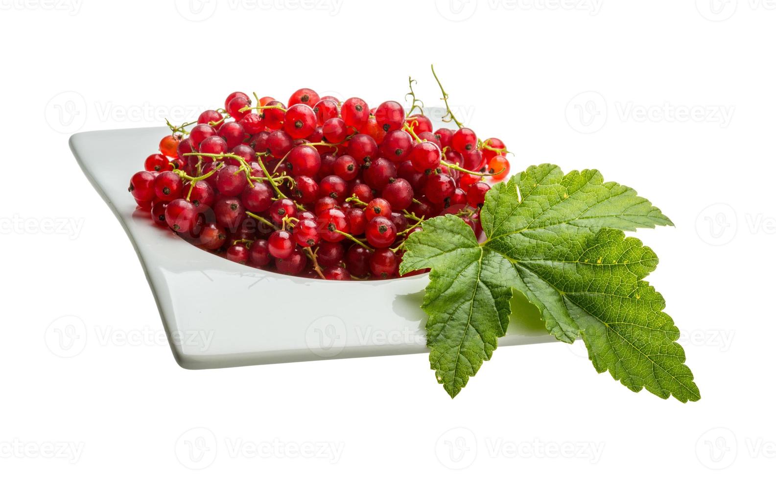 Red currant isolated on white background photo