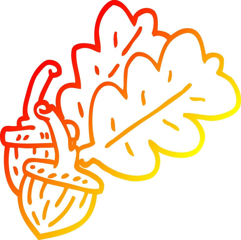 warm gradient line drawing cartoon acorn vector