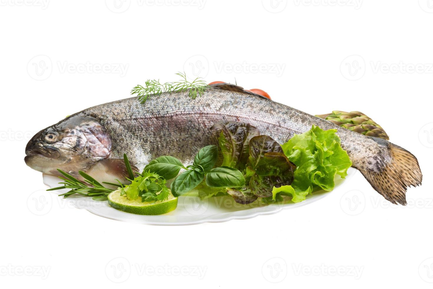 Fresh raw rainbow trout photo