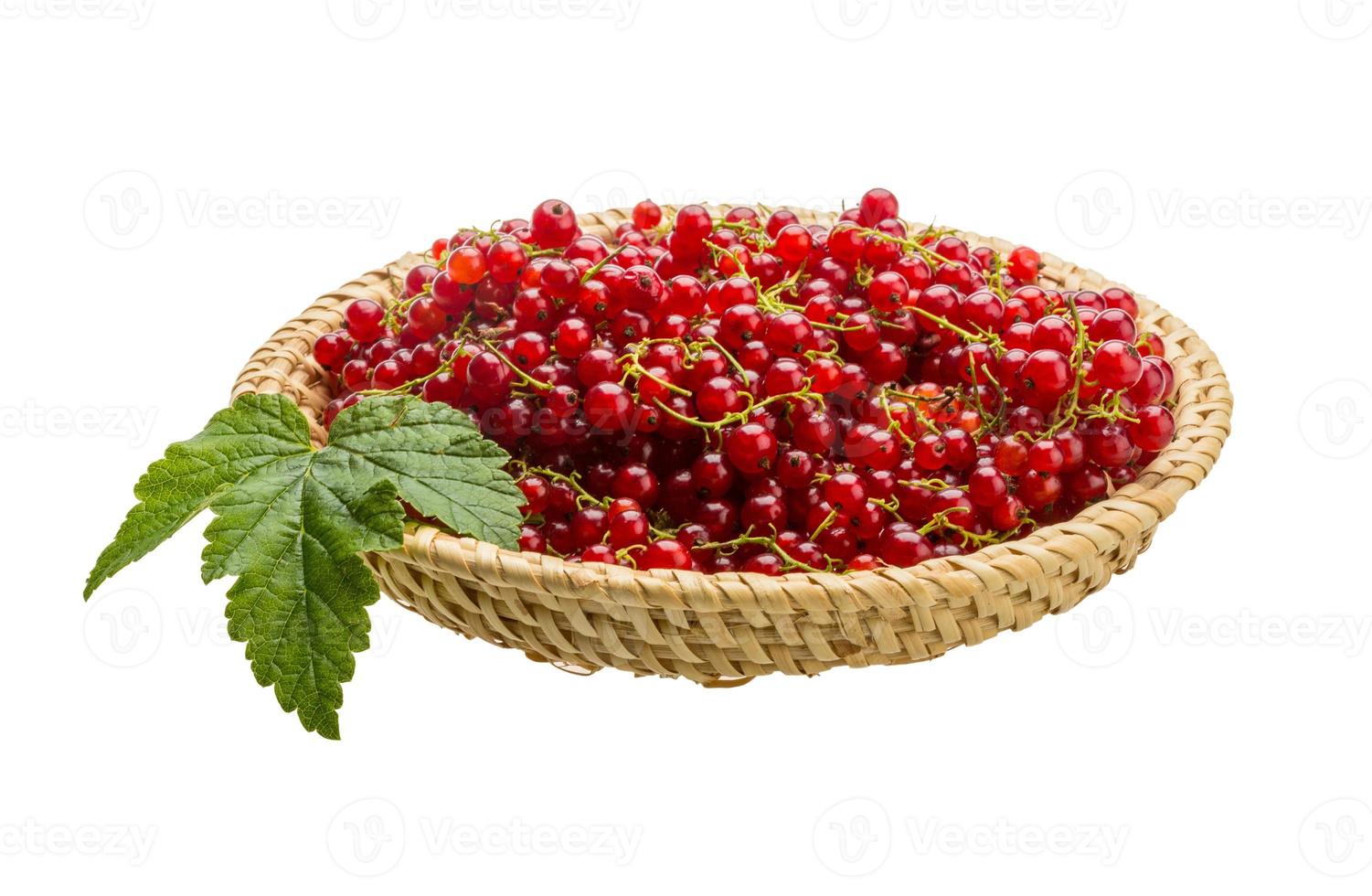 Red currant isolated on white background photo