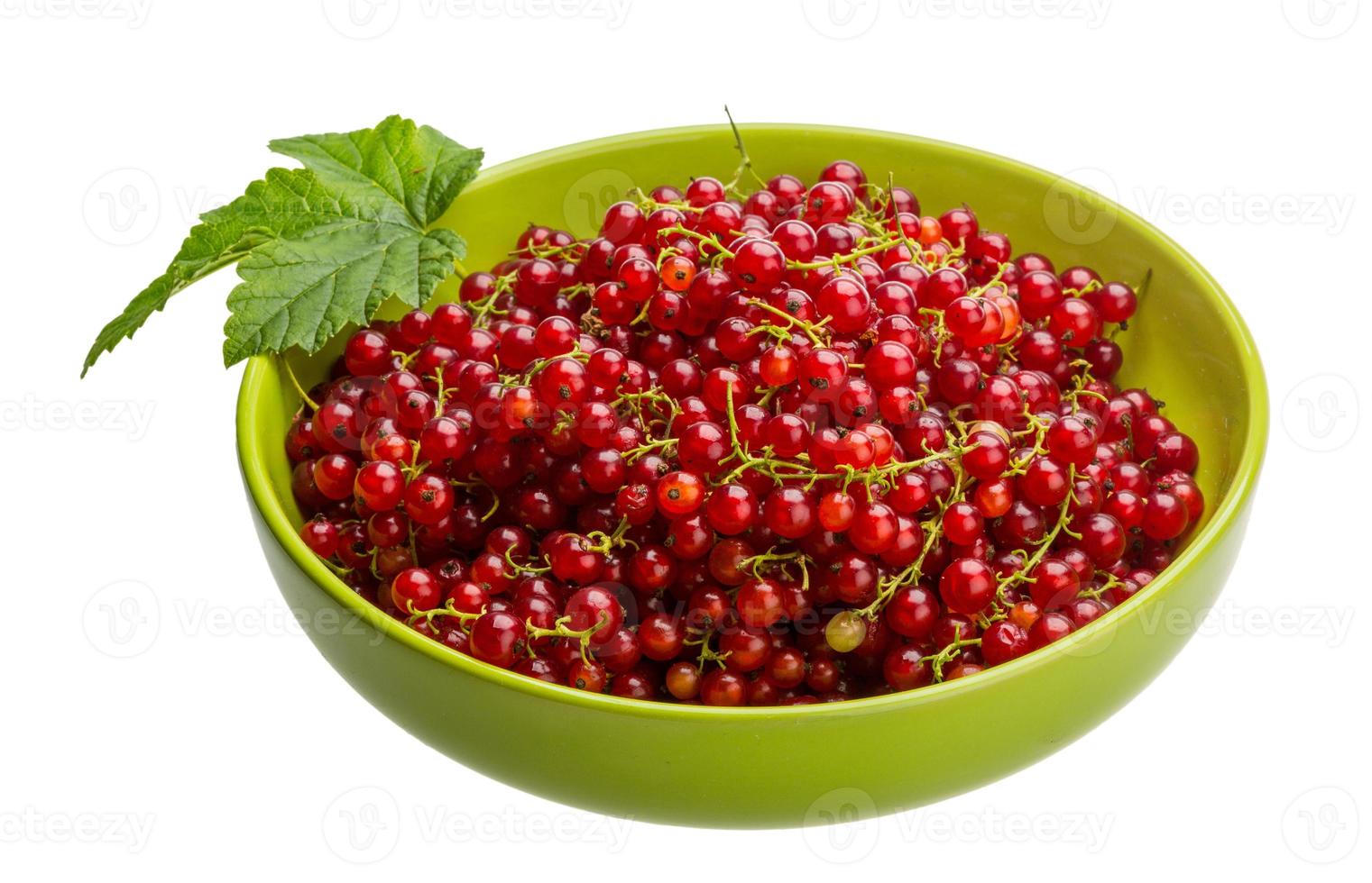 Red currant isolated on white background photo